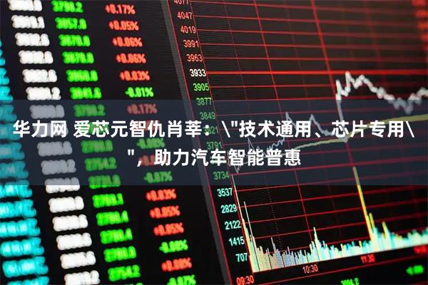 华力网 爱芯元智仇肖莘: