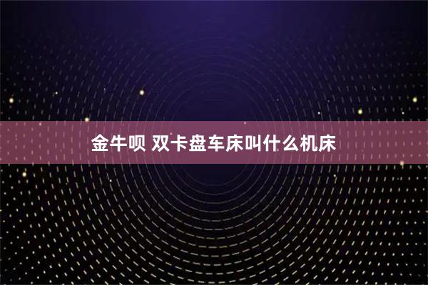 金牛呗 双卡盘车床叫什么机床